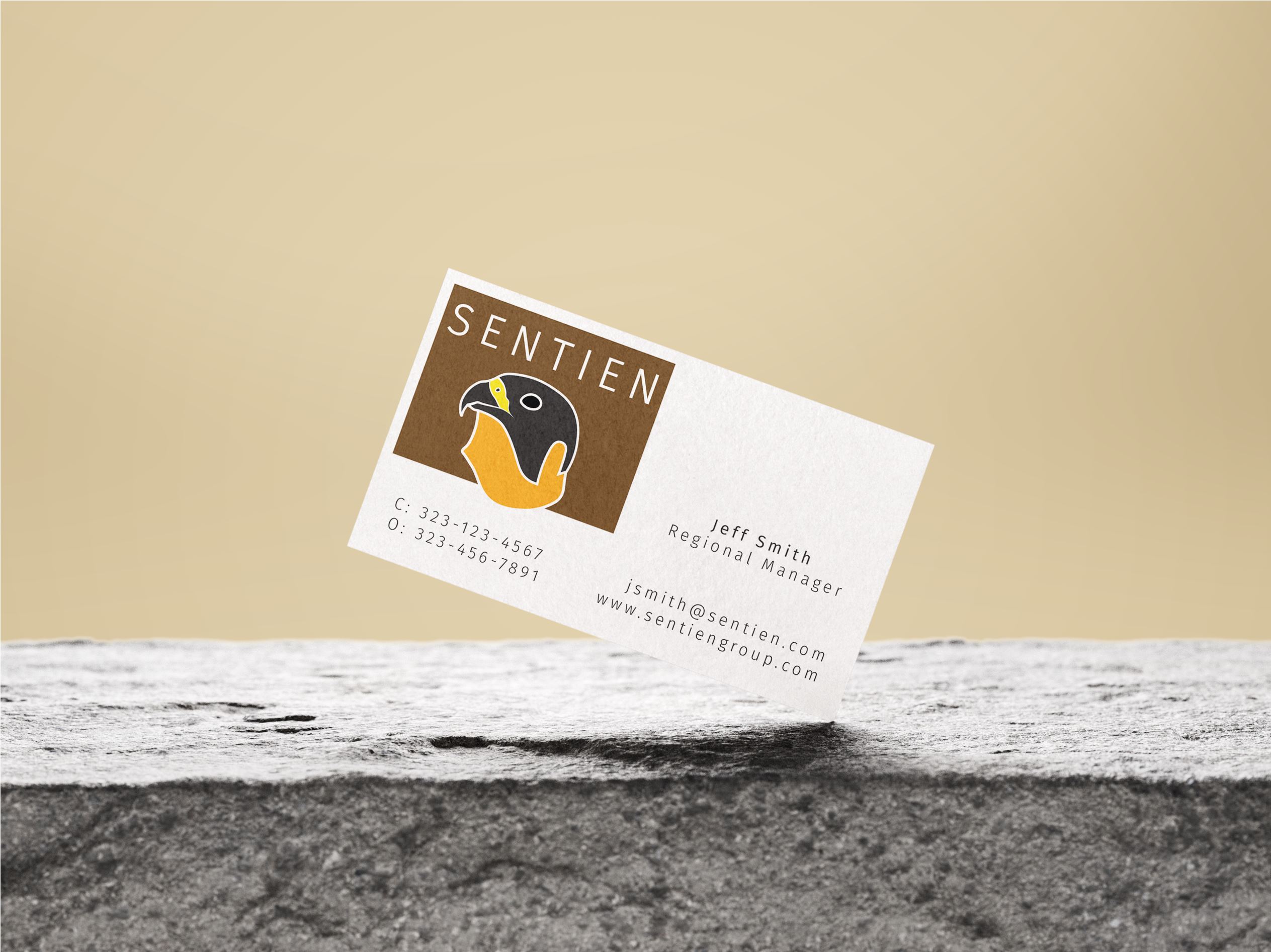 Sentien Security Firm Logo